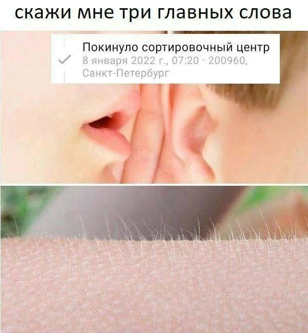 1642490851200.webp
