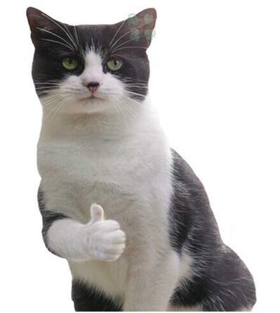1642495885566.webp