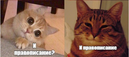 1642524000235.webp