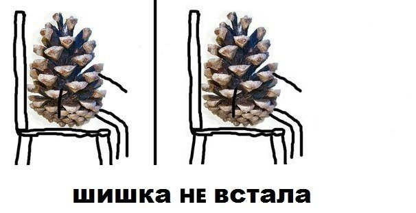 1642771102404.webp