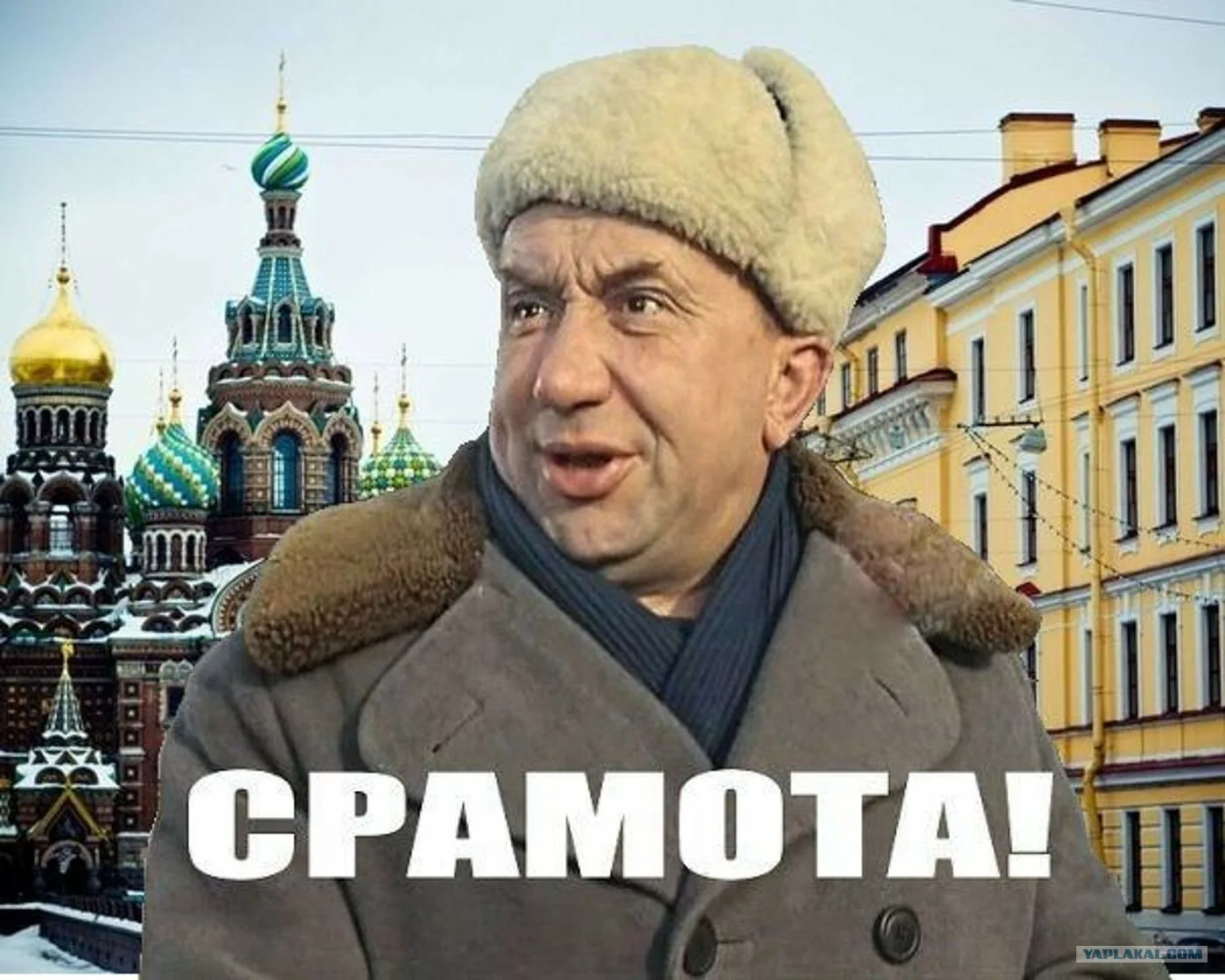 1642880748235.webp