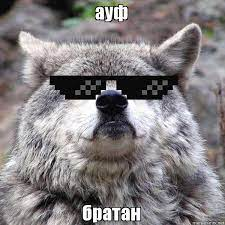 1643017612600.webp
