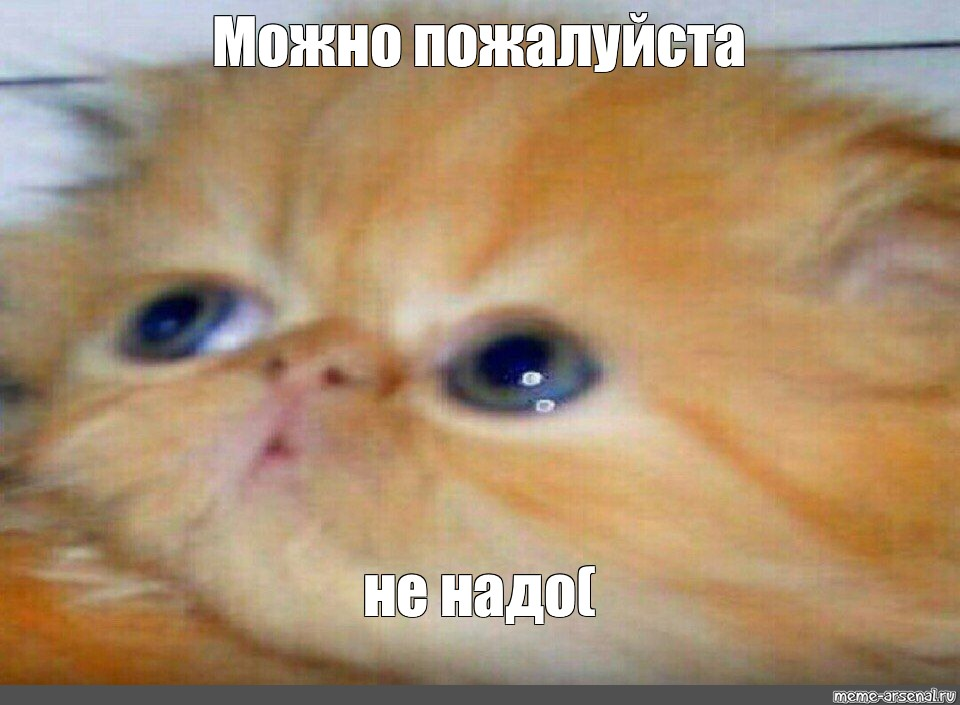 1643209475618.webp