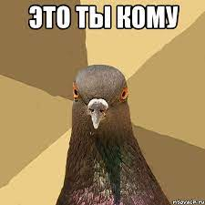 1643658759530.webp