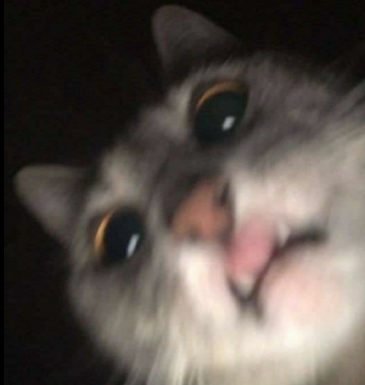 1643713930461.webp