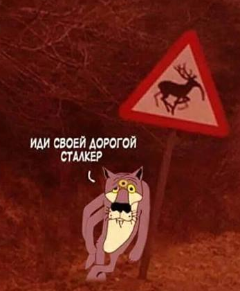 1643743379049.webp