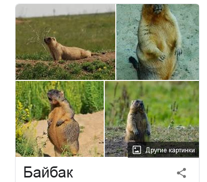 1643896002044.webp