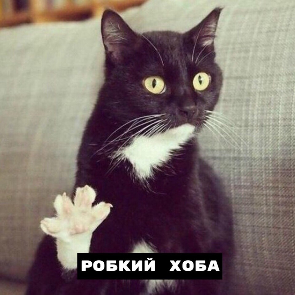 1643991475321.webp