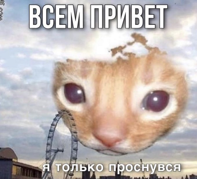 1643998231051.webp