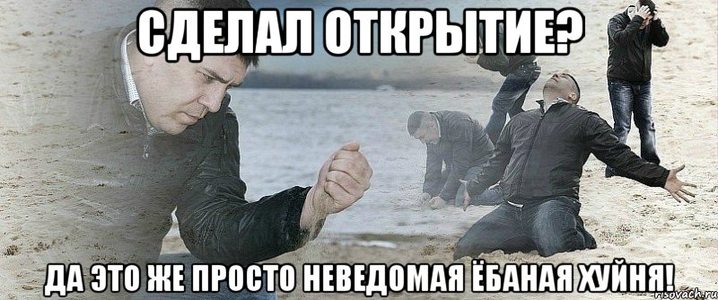 1644265354530.webp