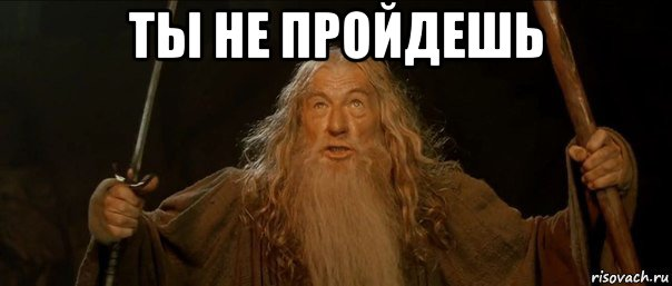 1644266739994.webp
