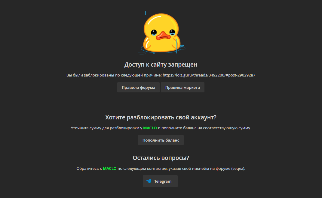 1644302236017.webp