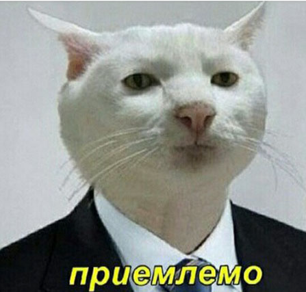 1644325338810.webp