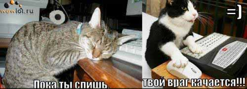 1644327886220.webp