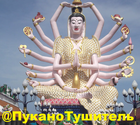 1644395457601.webp