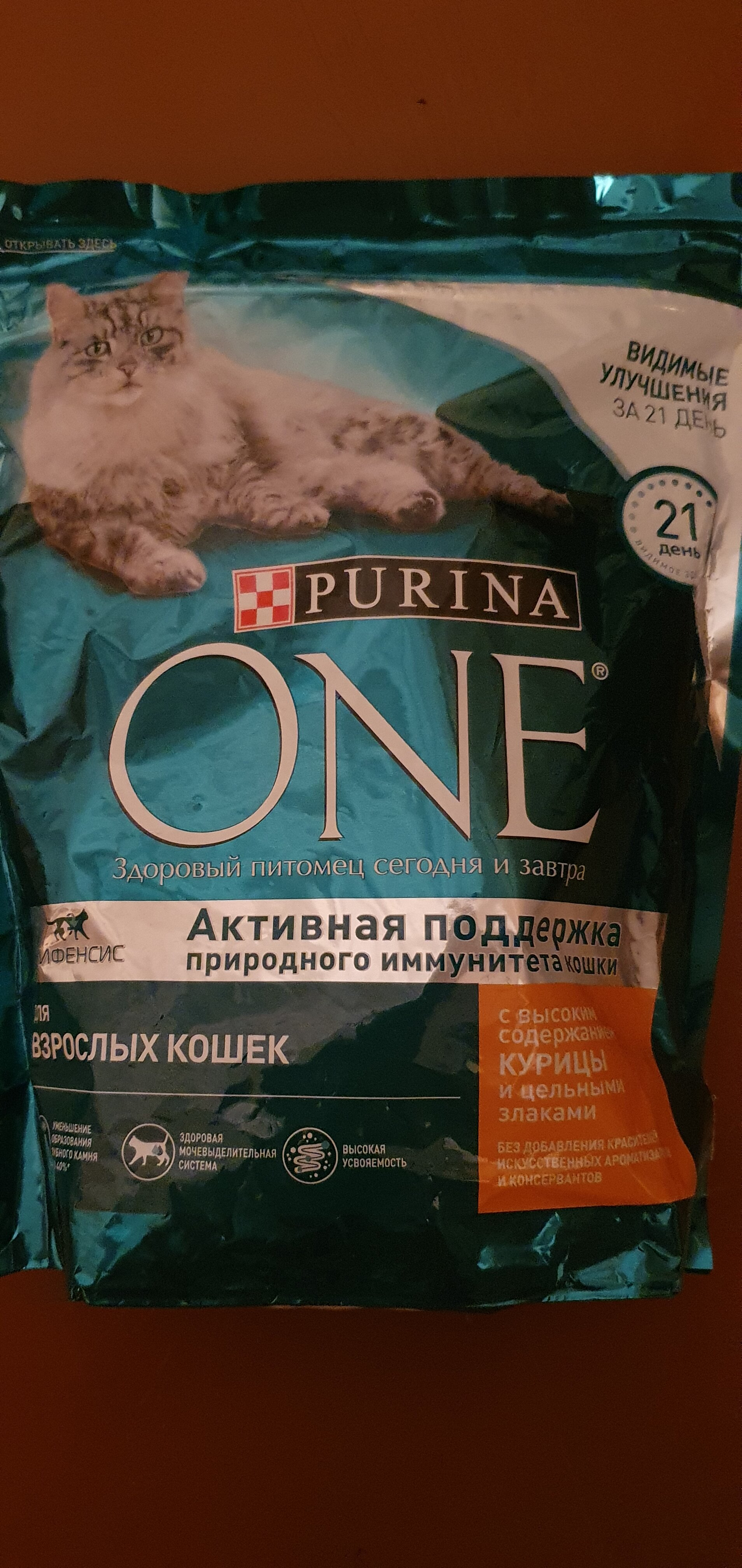 1644571457982.webp