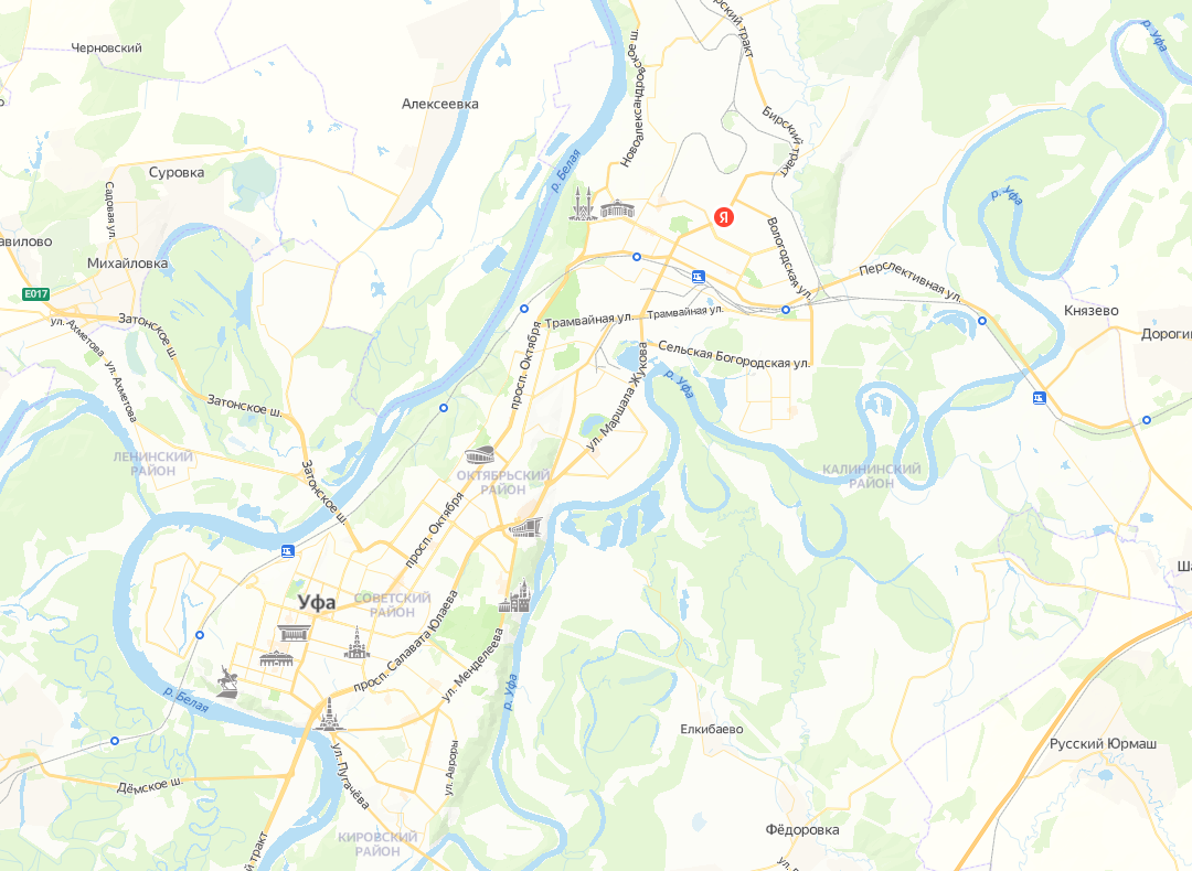 1644593079572.webp