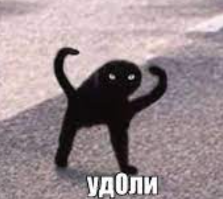 1644653859169.webp