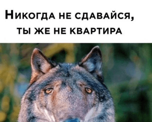 1644758795583.webp
