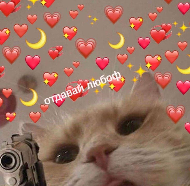 1644836470077.png