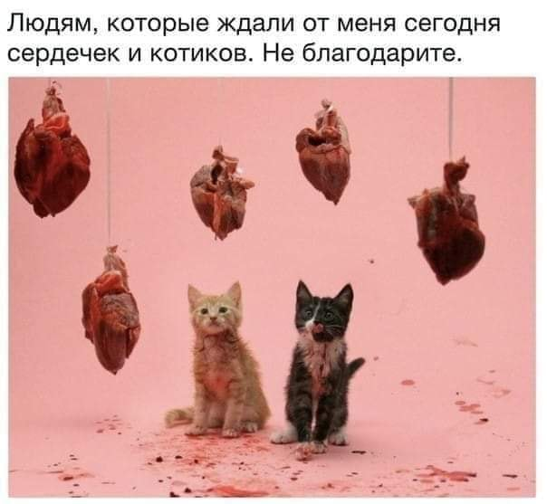 1644851704476.webp
