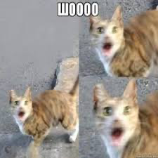 1644938471944.webp