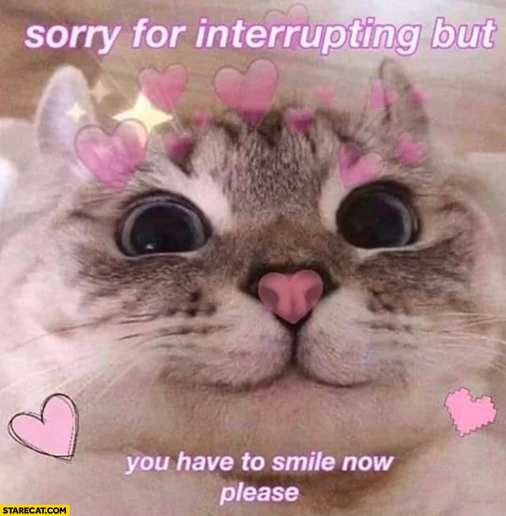 1645004810206.png