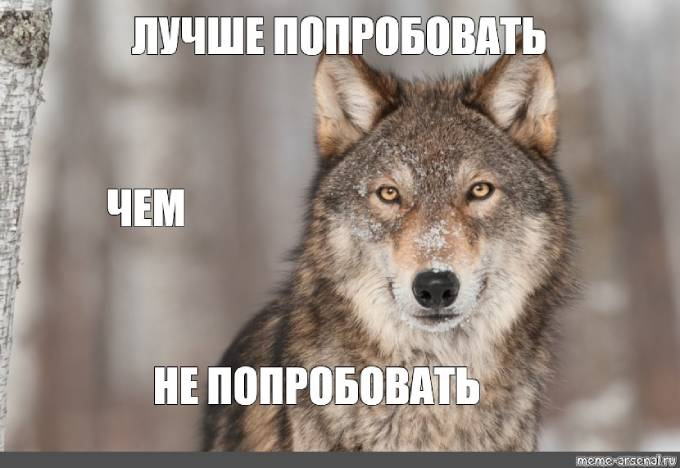 1645083043564.png