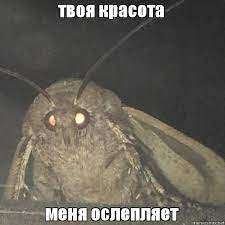 1645113945764.webp