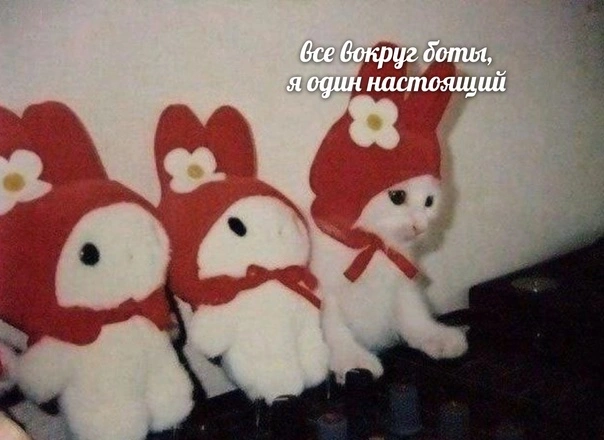 1645174103.webp