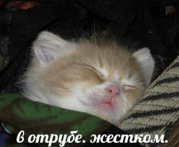 1645193501890.webp