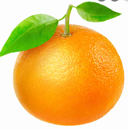 1645206673122.webp