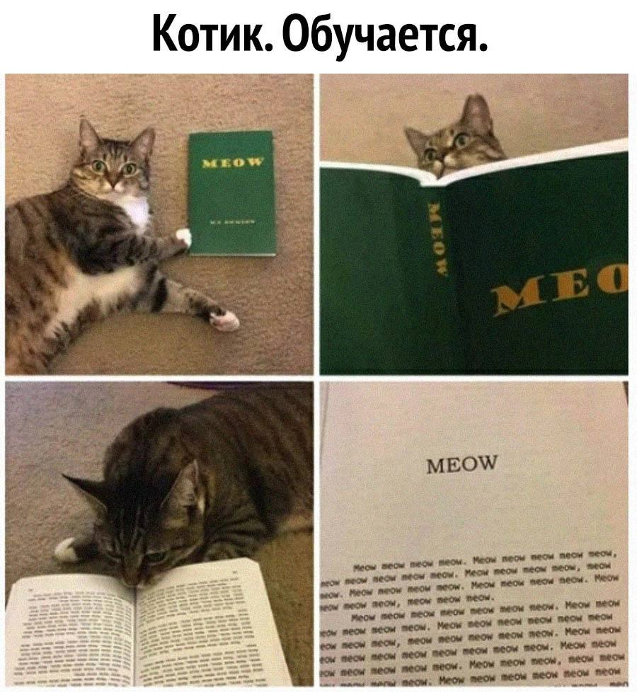 1645255885870.png