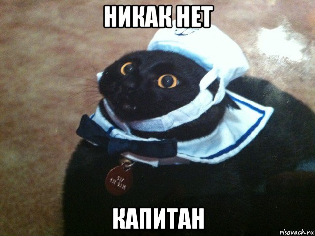 1645293262667.png