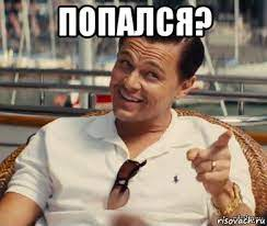 1645296251316.webp