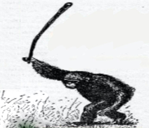 1645438317913.webp