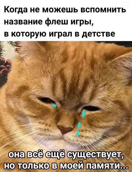 1645548048297.png