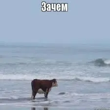 1645998185468.webp