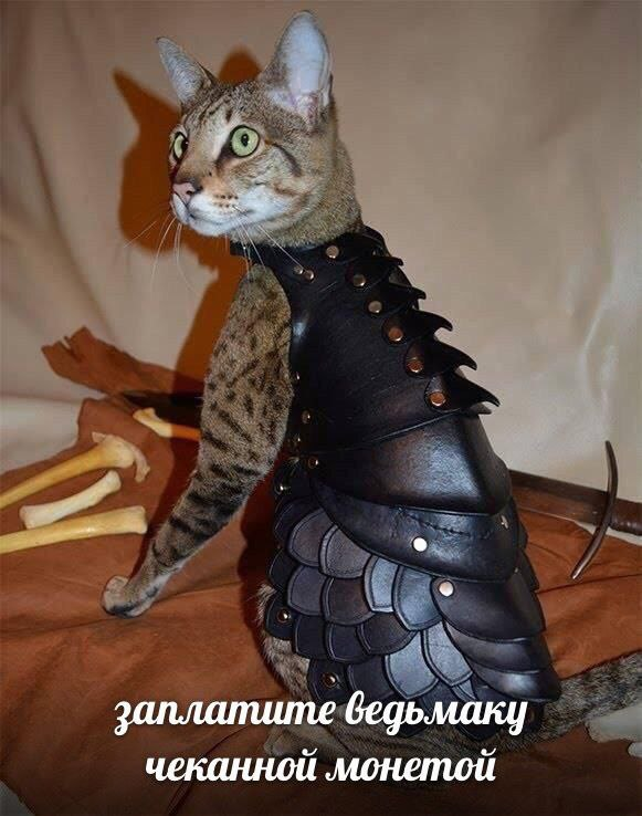 1646073357033.png