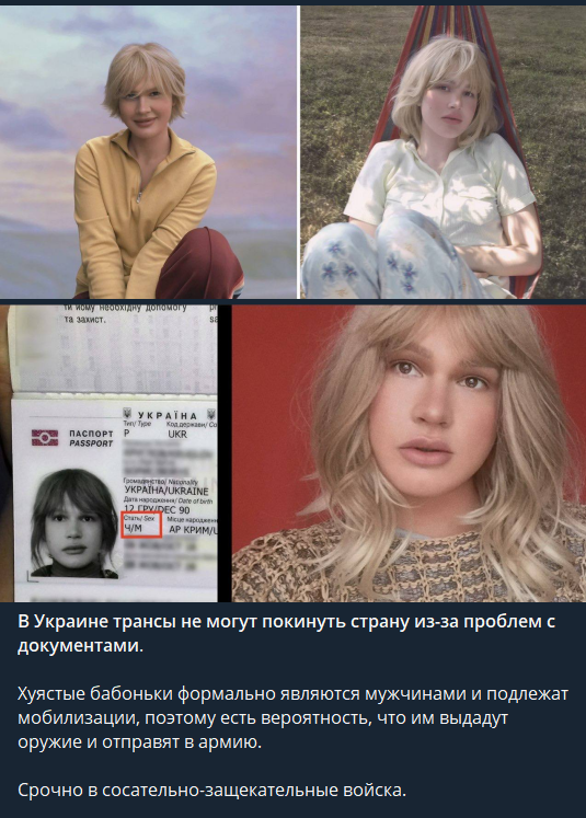 1646484112876.webp