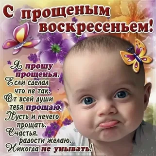 1646528774751.webp