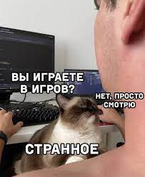 1646563055031.webp