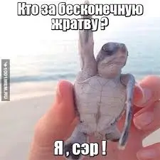 1647074480030.webp