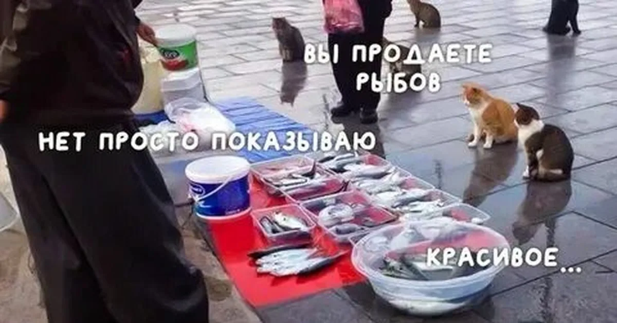 1647477026832.webp