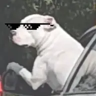 1648648817995.webp