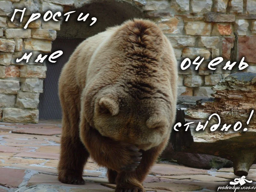 1648689113_14-kartinkof-club-p-kartinki-smeshnie-izvineniya-15.webp