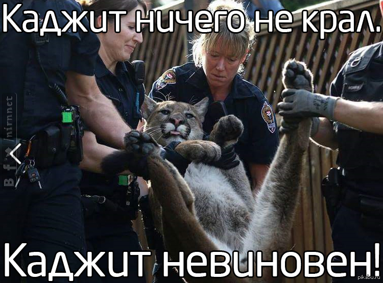1648982543104.webp