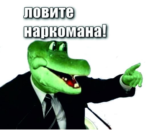 1648988476654.webp