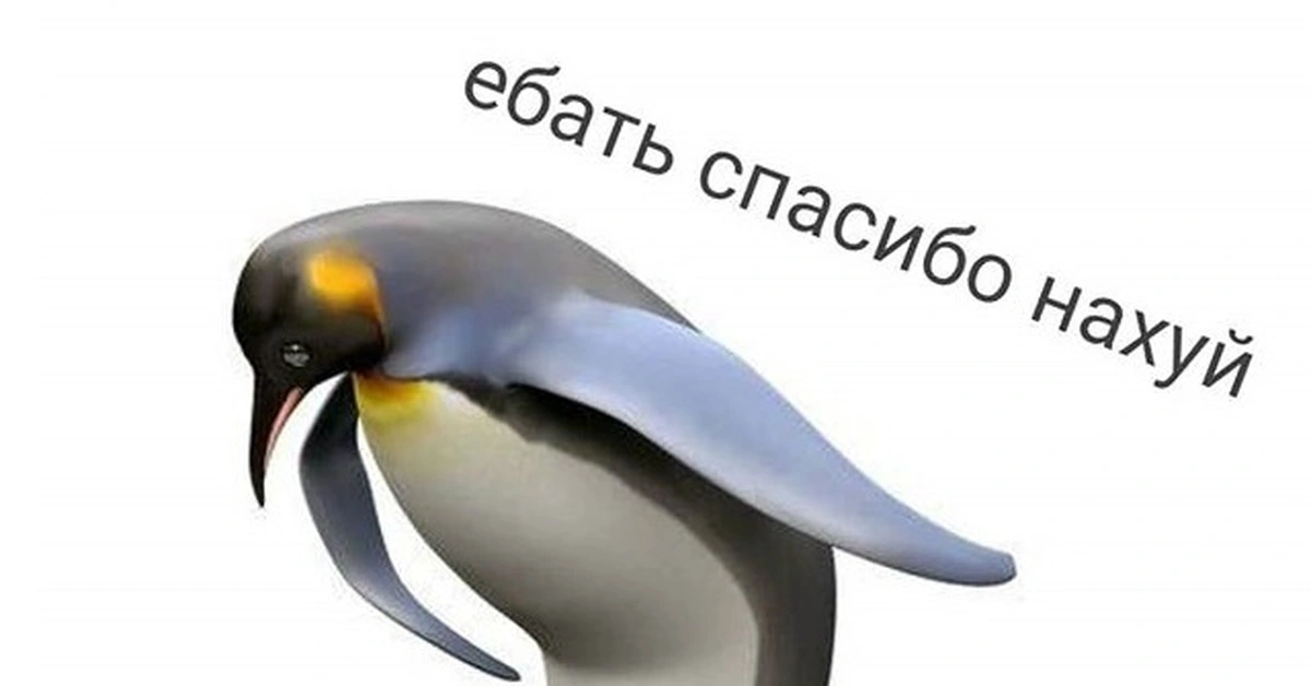 16490367.webp