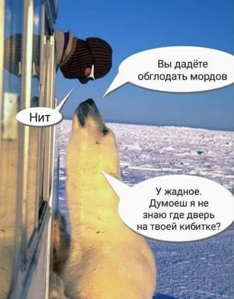 1649187826680.webp